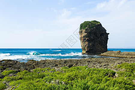 太平洋沿岸的落基海岸 台北肯廷海岸线蓝色海滩晴天珊瑚波纹植物海洋海浪岩石图片