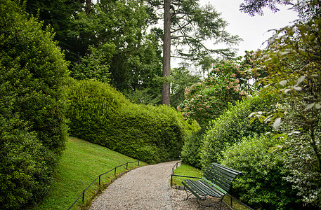 意大利别墅 装饰在科莫湖上公园旅游假期花园旅行图片
