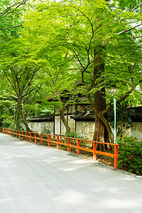 京都日本寺庙图片