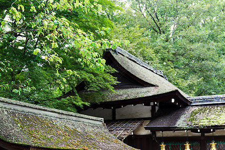 日本寺庙屋顶瓷砖农村建筑历史绘画旅游雕塑青色旅行房子框架图片