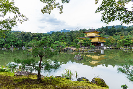 京都日本金宝馆九角寺佛教徒遗产崇拜反射金子文化地标吸引力宗教公园图片