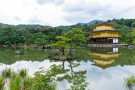 京都金馆佛教徒植物亭子建筑学池塘神道旅游松树纪念碑水池图片