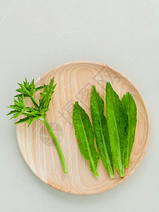 卡兰特罗 长椰菜龙 索亚牙草草树叶香料植物群花园热带厨房美食草本植物灵草植物图片