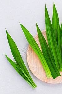 用于泰国甜点和温泉芳香疗法的泰国草药成分a烹饪蔬菜美食棕榈身体花园草地果汁皮肤香味图片