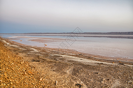 盐湖撒哈拉沙漠T的美丽日出旅行反射目的地荒野阳光地方沙漠风景六边形孤独图片