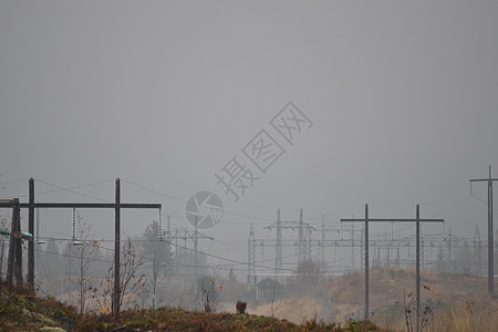 高压电压地衣阴影余烬接线城市年轮稻草火焰全景木头图片