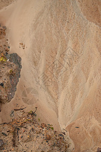 色质沙砂图片