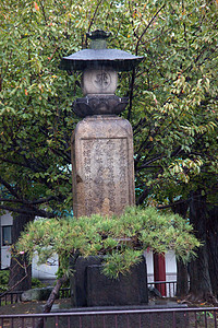 东京浅草寺庙汉子旅行旅游游客神社假期神道佛教徒台场图片