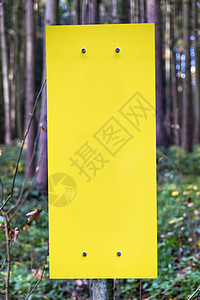 森林中的空黄色符号荒野花园木头金属木板招牌植物警告横幅季节图片