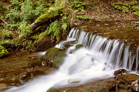 美丽的秋天瀑布 在森林中与绿树叶国家叶子生活墙纸冥想岩石流动森林植物环境图片