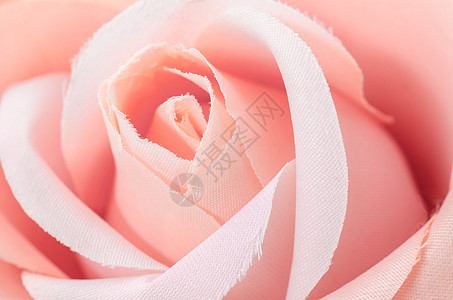 玫瑰中心红色美术柔软度粉色婚礼植物群宏观新娘请柬背景图片