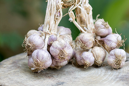 紧贴紫大蒜食物蔬菜营养紫色团体美食灯泡小路草本植物厨房图片