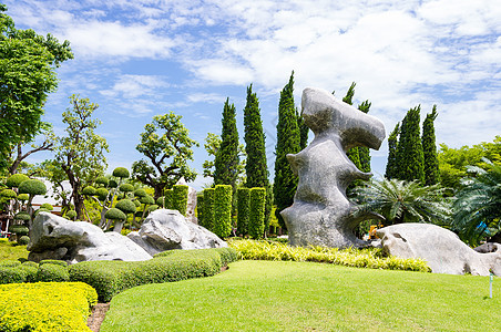 园圃闲暇绿色美化植物群花坛院子衬套园林绿化后院图片