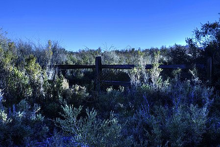 美国内华达州拉斯维加斯湿地公园围栏图片