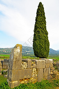 碎裂的纪念碑中的 volubilis场地考古学大理石帝国建筑学历史旅游化石全景柱子图片