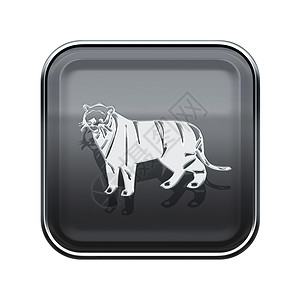 老虎 Zodiac 图标灰色 孤立在白色背景上图片