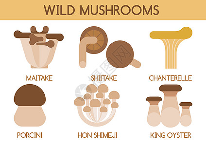 野生蘑菇病媒图片