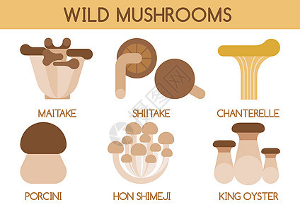 野生蘑菇病媒背景图片