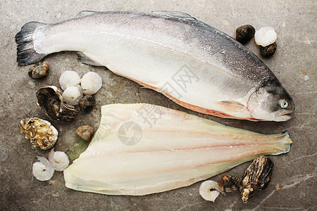 鱼类和贝类比目蛤蜊对虾鱼片食物生蚝图片