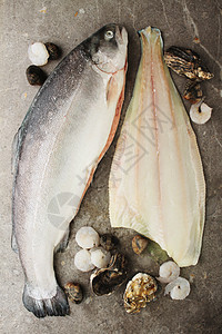 鱼类和贝类鱼片对虾生蚝比目蛤蜊食物图片