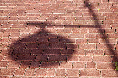 西班牙街灯 影子阿勒瑞谢叶盘子金属植物路面衬套历史气泡阴影纪念碑人行道图片
