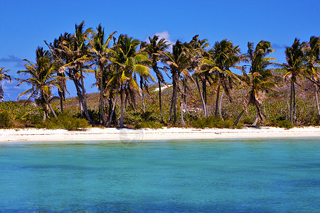 蓝色环礁湖中的海岸线岩石 放松是墨西哥的共合物图片