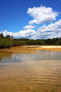 沿河和马达加斯卡尔伊南扎丛林的海岸线池塘图片