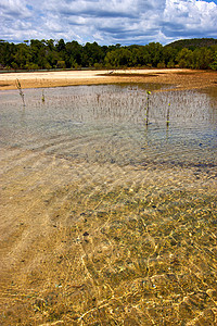 池塘环礁湖放松和马达加斯卡的灌木图片