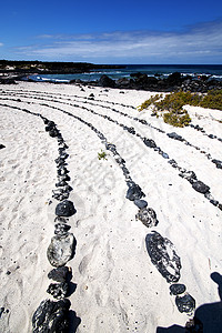 黑色岩石的白沙滩螺旋图片