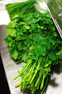 新鲜草药香草厨师绿色香菜食物厨房叶子烹饪图片