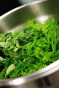 新鲜草药厨房香草香菜绿色厨师叶子烹饪食物图片