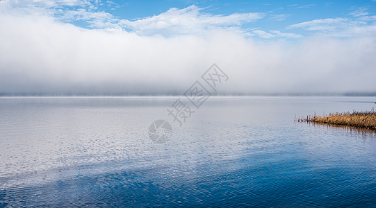 加拿大安大略省的重雾 从渥太华河上拔除大雾毯子地平线支撑边缘海岸线孤独海滩寒意寒冷图片