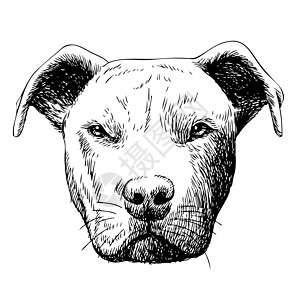 坑布狗的手画插图图片