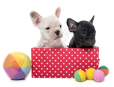 乐高玩具,背景-乐高玩具,摄影图片-与立方体手玩正方形婴儿绿色构造