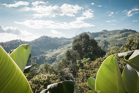 自然山区地貌的美丽世界植物群生态国家土地草地场景农村森林旅游阳光图片