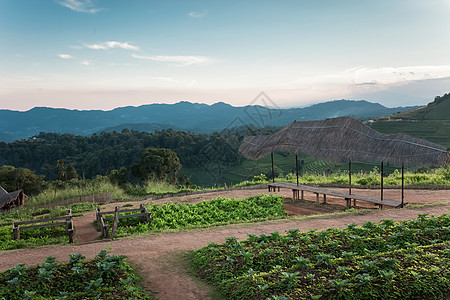 自然山区地貌的美丽世界薄雾天空旅行草地仙境场景植物国家土地农村图片