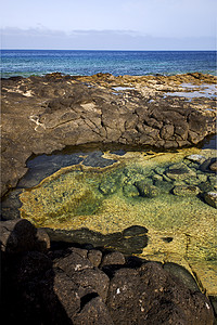 兰萨罗特的西班牙面火山岩池岩石水天空池塘爬坡热带地衣旅游海岸海洋旅行假期图片