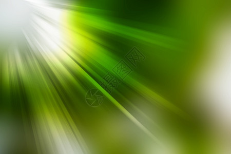 抽象自然模糊背景 非对称光线火花射线生态绿色植物微光植物群辉光叶子空白艺术图片