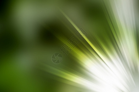 抽象自然模糊背景 非对称光线绿色射线微光活力艺术植物圆形叶子辉煌火花图片