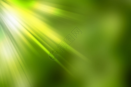 抽象自然模糊背景 非对称光线艺术圆形植物叶子辉光太阳火花活力植物群绿色植物图片