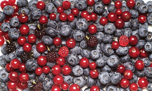 贝里果森林浆果食物红色水果图片