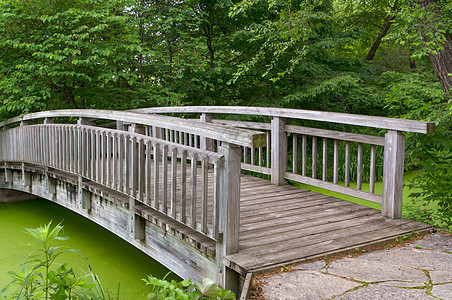 跨越池塘的木桥全景野生动物森林风景环境树木叶子草地公园湿地图片