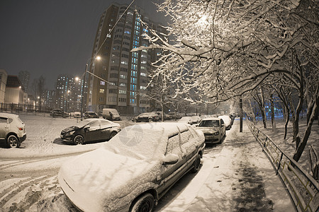 城市冬季夜间窗户地标小路胡同树干图片