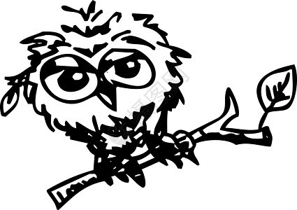 可爱的小猫头鹰漫画草图图片