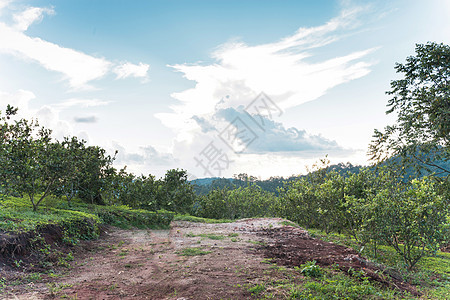 自然山区地貌的美丽世界草地假期生态植物群森林天堂天空土地国家旅行图片