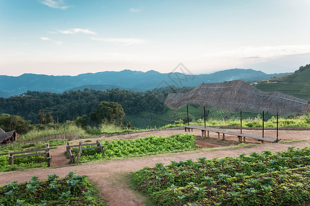 自然山区地貌的美丽世界农村天堂旅行场景土地仙境植物群薄雾国家森林图片