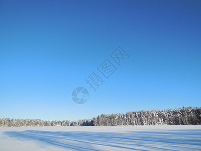 2015年2月卡雷利亚冬季风景天空晴天森林场景蓝色阳光场地阴影季节旅行图片