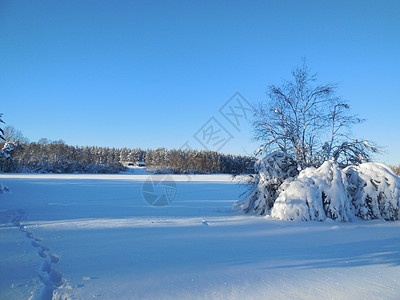 2015年2月卡雷利亚冬季风景蓝色旅行公园火花晴天森林海滩太阳场地木头图片