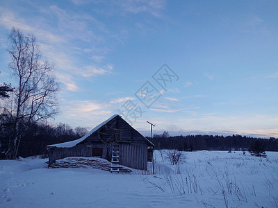 2015年2月卡雷利亚冬季风景晴天天气火花公园季节旅行场景天空阴影太阳图片