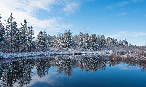 查尔克河 在蓝天清晨和新降雪时 在森林中间的一座小桥反思林地荒野小径沼泽寒冷树木芦苇镜像池塘图片